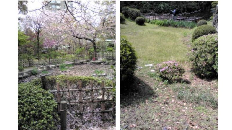 広島の名園・縮景園