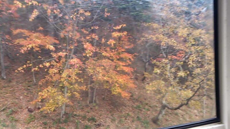 那須高原のマウントジーンズ2014年10月28日撮影ゴンドラ内部から1