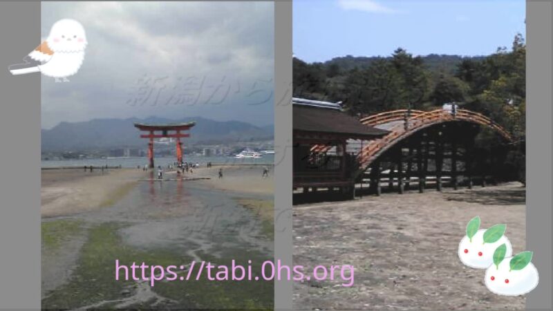 厳島神社4