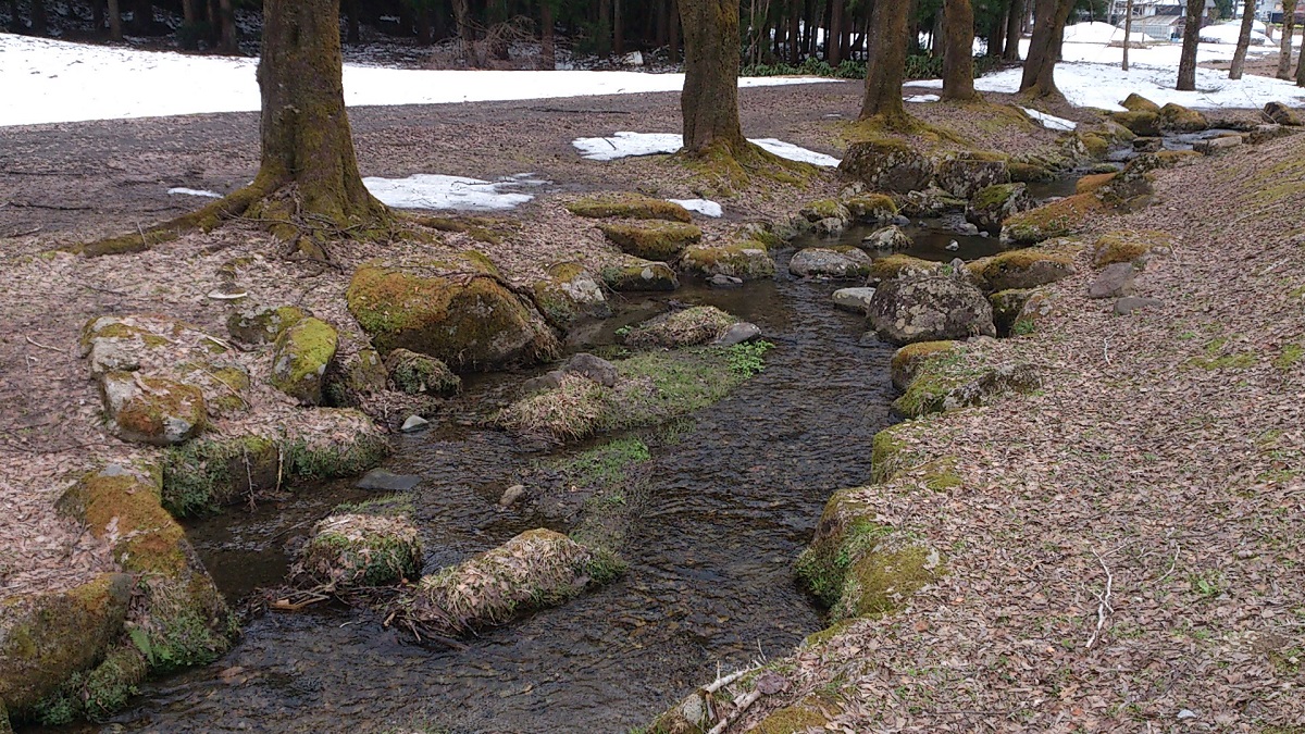 2022年4月18日湯沢中央公園内は小川が流れています2