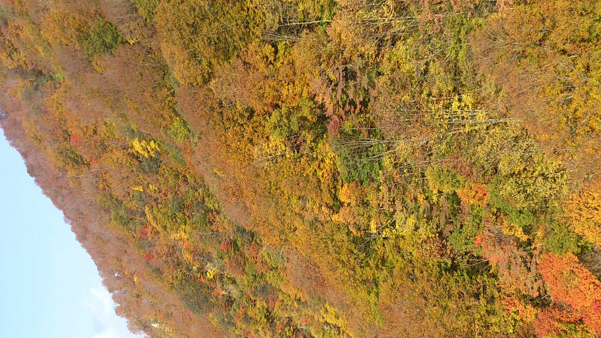 田代ロープウェイ紅葉