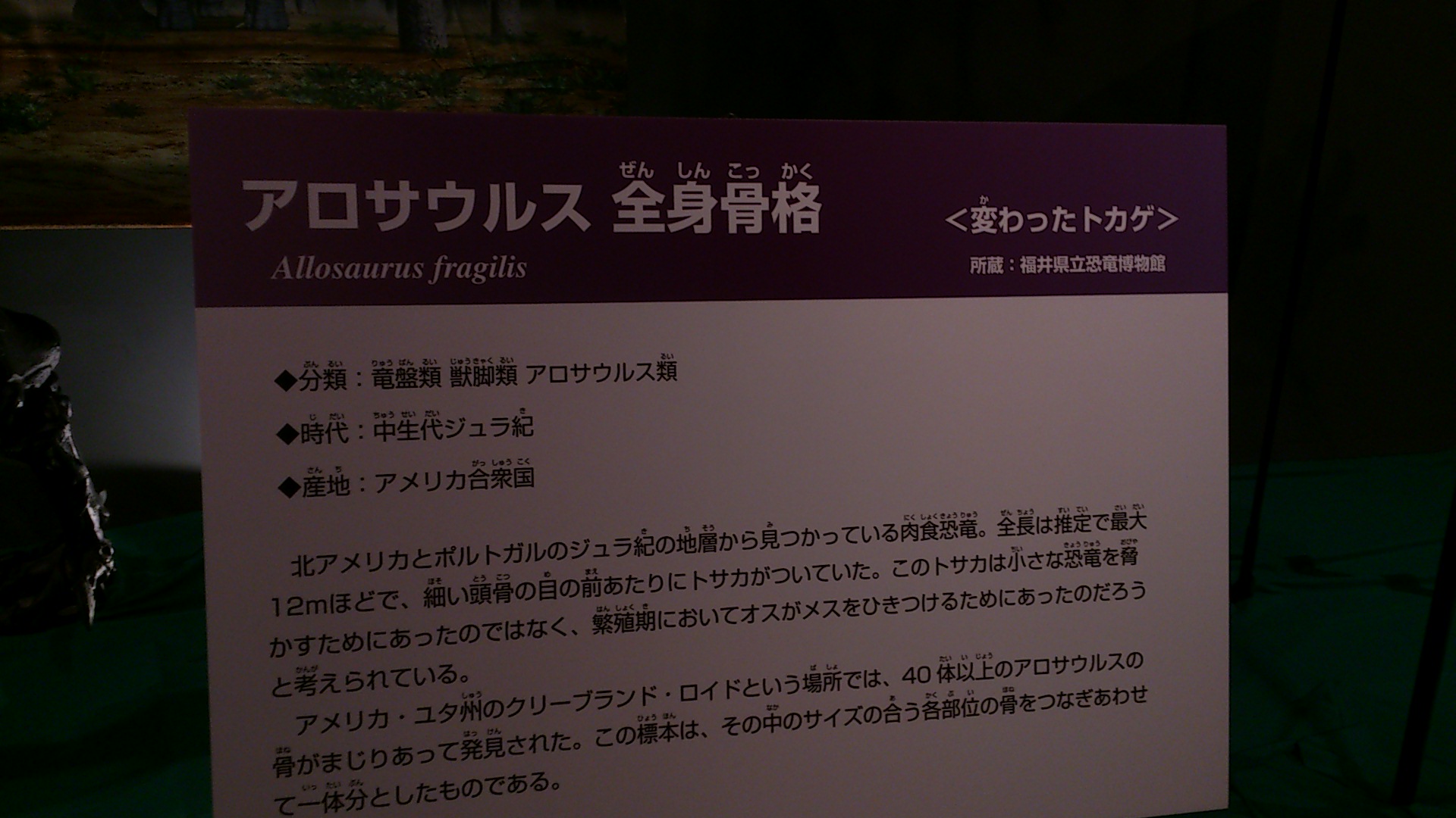 福井県立恐竜博物館