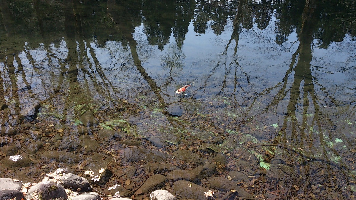 湯沢中央公園DSC_0660