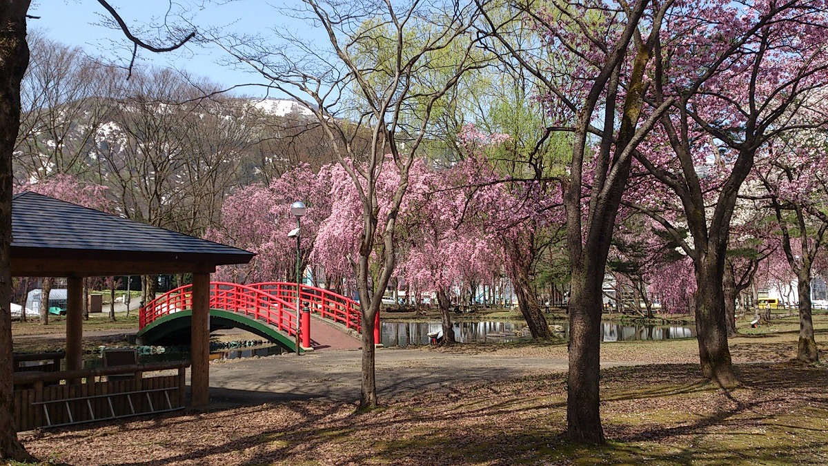 湯沢中央公園の中の景色DSC_0670