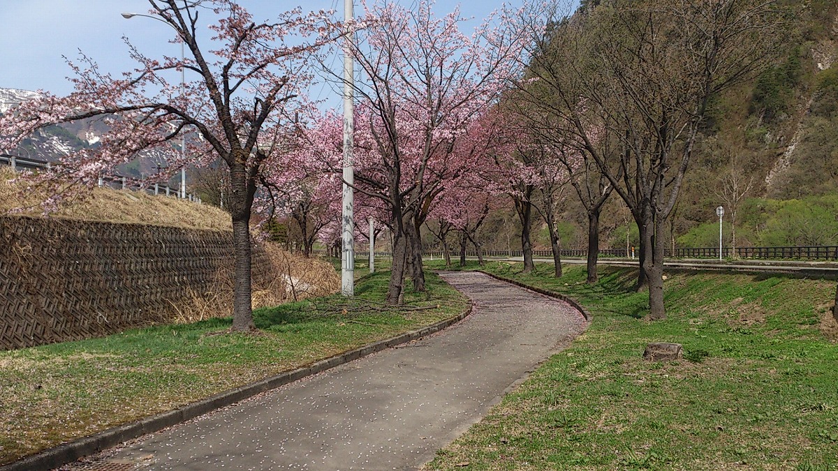 公園外・テニスコート付近DSC_0696