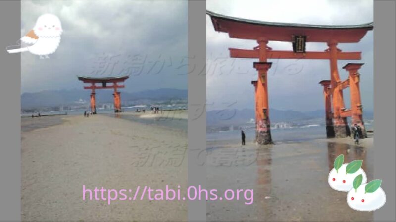 厳島神社5